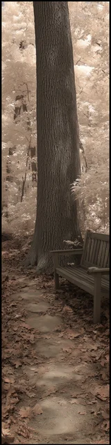 Free aesthetic bookmark featuring a bench under a tree